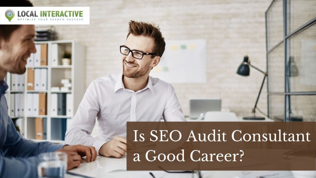 seo audit consultant - local-interactive.com