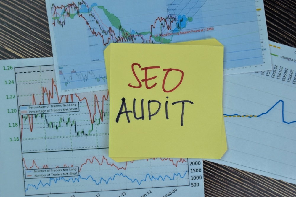 Seo Audit - Seo Audit Expert - Seo Audit Consultant - Off Page Seo Audit - On Page Seo Audit - Wordpress Seo Audit - Shopify Seo Audit