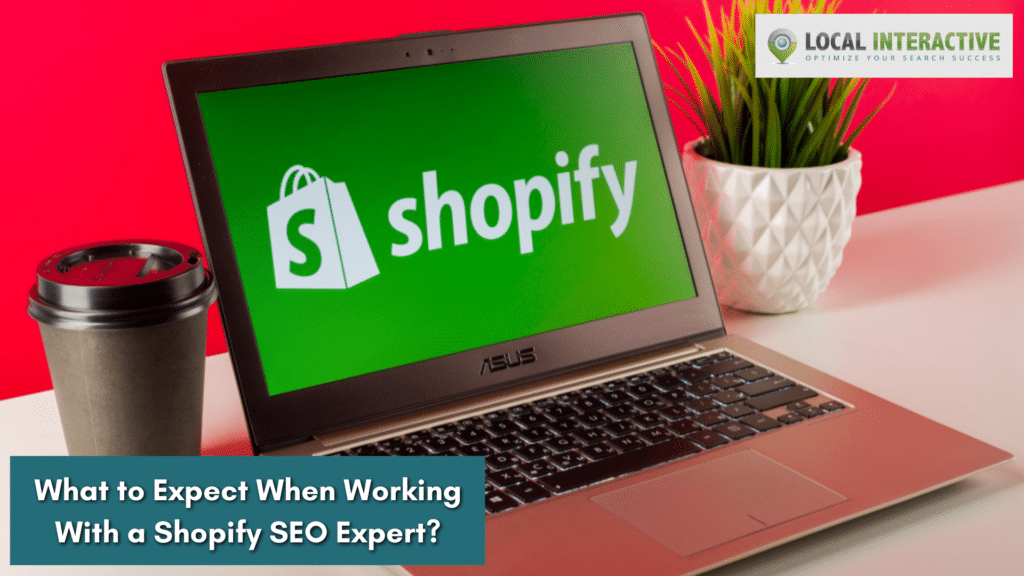 What to Expect When Working With a Shopify SEO Expert